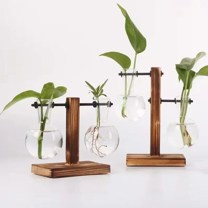 Light Bulb Vase with Wood Stand - Hydroponic Propagation Glass Station for Desktop Home or Office Botanical Decor