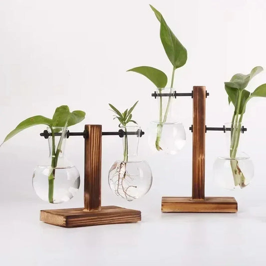 Light Bulb Vase with Wood Stand - Hydroponic Propagation Glass Station for Desktop Home or Office Botanical Decor
