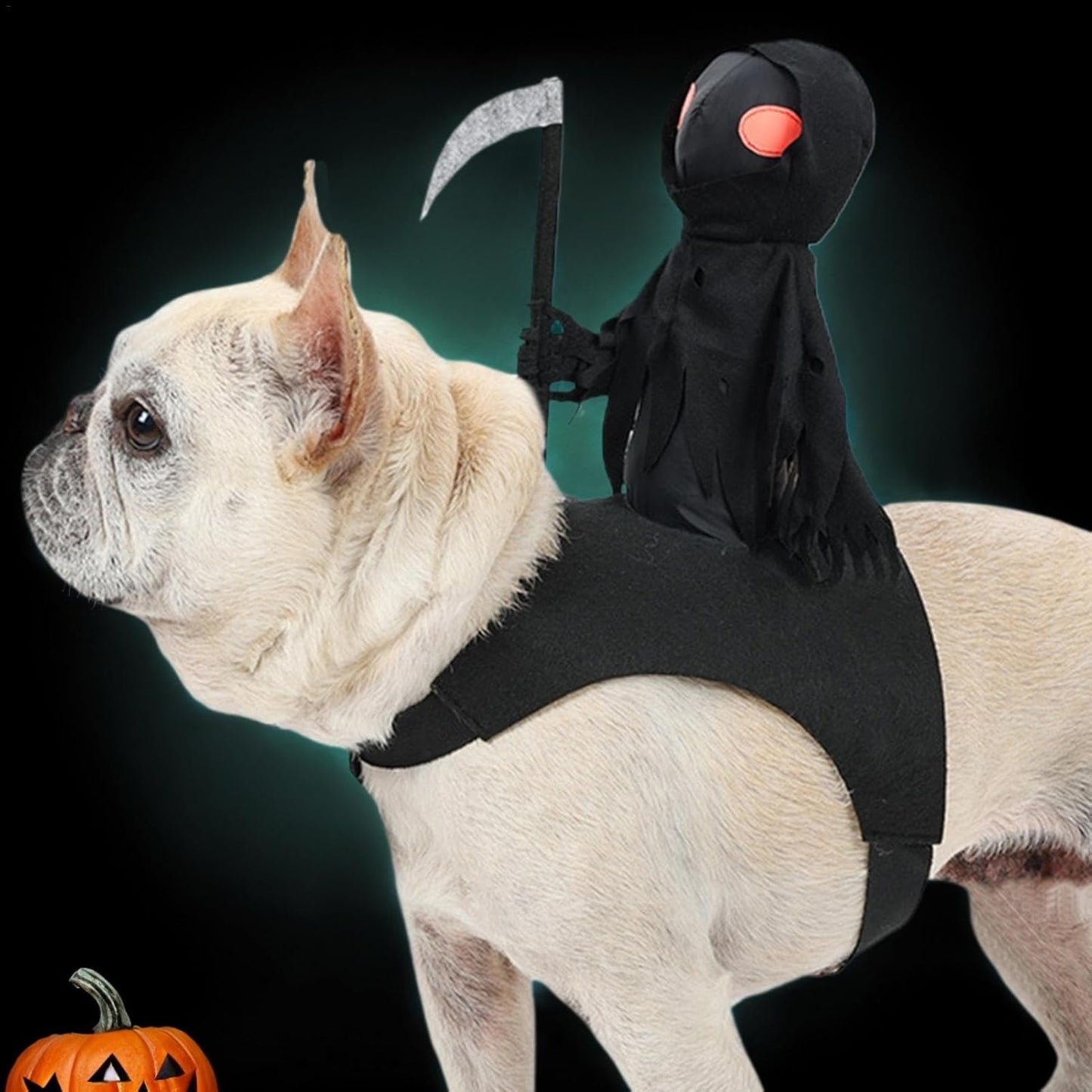 Halloween Dog Skeleton Costume – Funny Festival Pet Outfit for Medium and Large Dogs, Party Cosplay Clothing, and Holiday Dress-Up