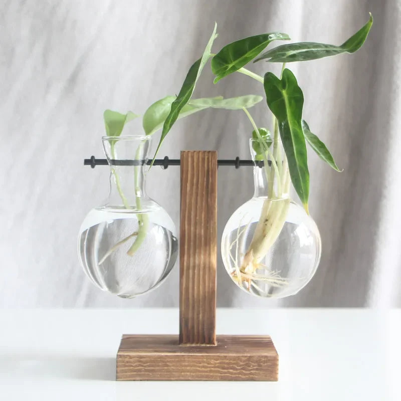 Light Bulb Vase with Wood Stand - Hydroponic Propagation Glass Station for Desktop Home or Office Botanical Decor