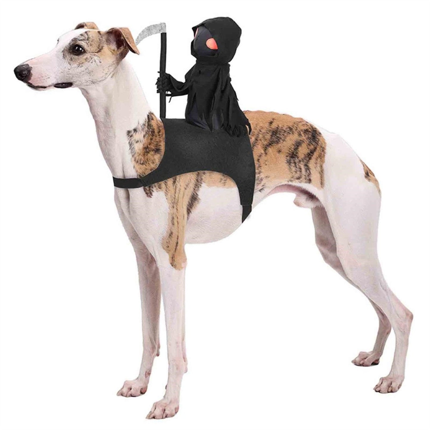 Halloween Dog Skeleton Costume – Funny Festival Pet Outfit for Medium and Large Dogs, Party Cosplay Clothing, and Holiday Dress-Up