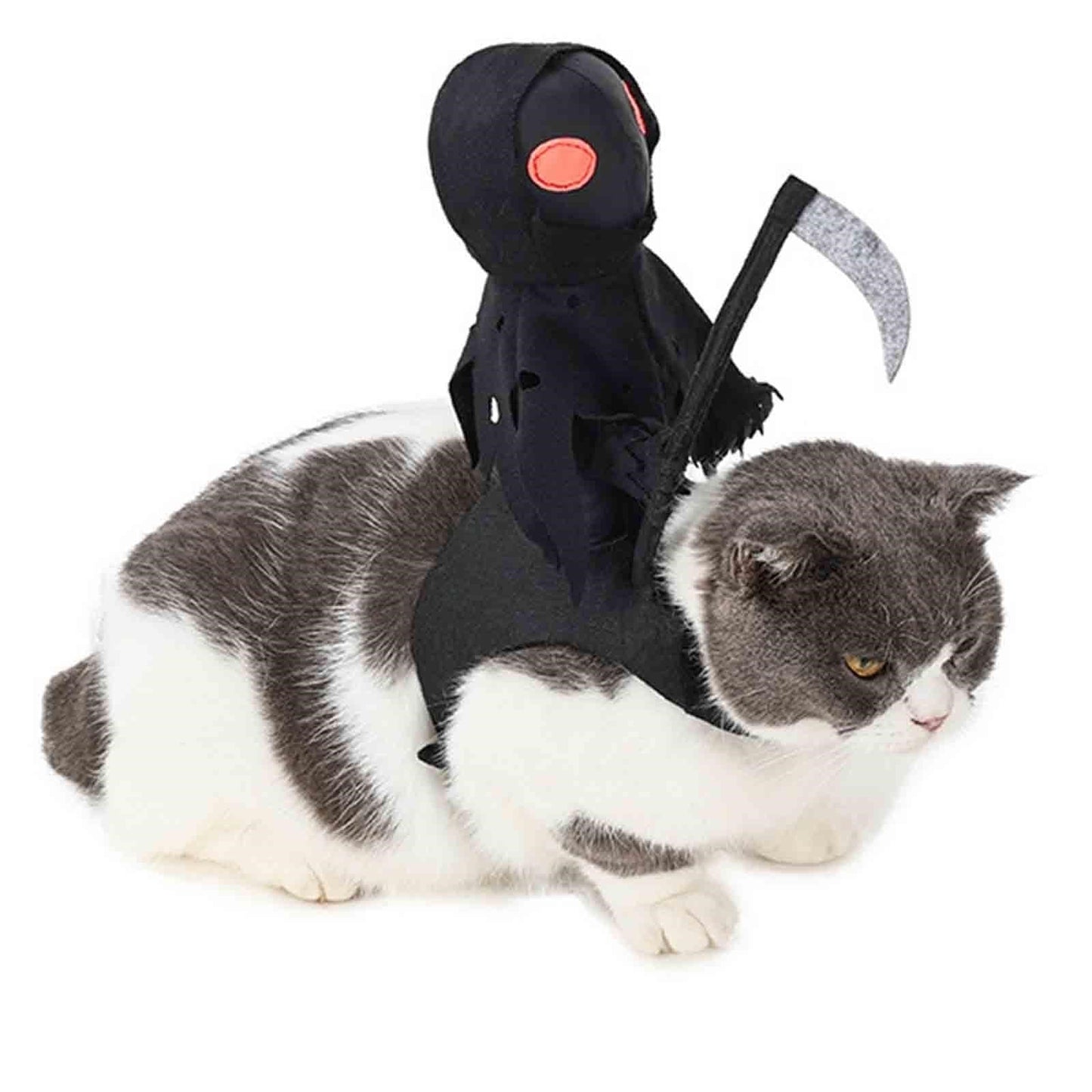 Halloween Dog Skeleton Costume – Funny Festival Pet Outfit for Medium and Large Dogs, Party Cosplay Clothing, and Holiday Dress-Up