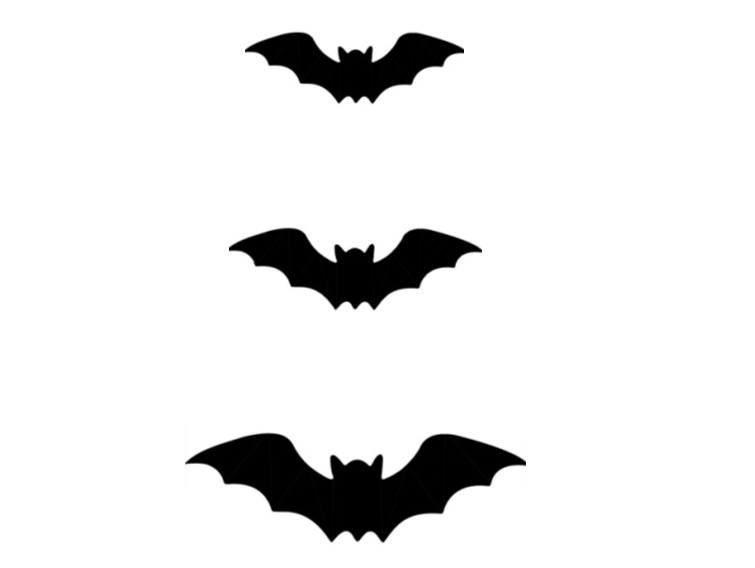 Halloween Bat and Spider Wall Décor – Glow-in-the-Dark 3D Stickers with LED Lights for Indoor and Outdoor Party Scares