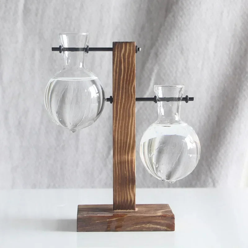 Light Bulb Vase with Wood Stand - Hydroponic Propagation Glass Station for Desktop Home or Office Botanical Decor