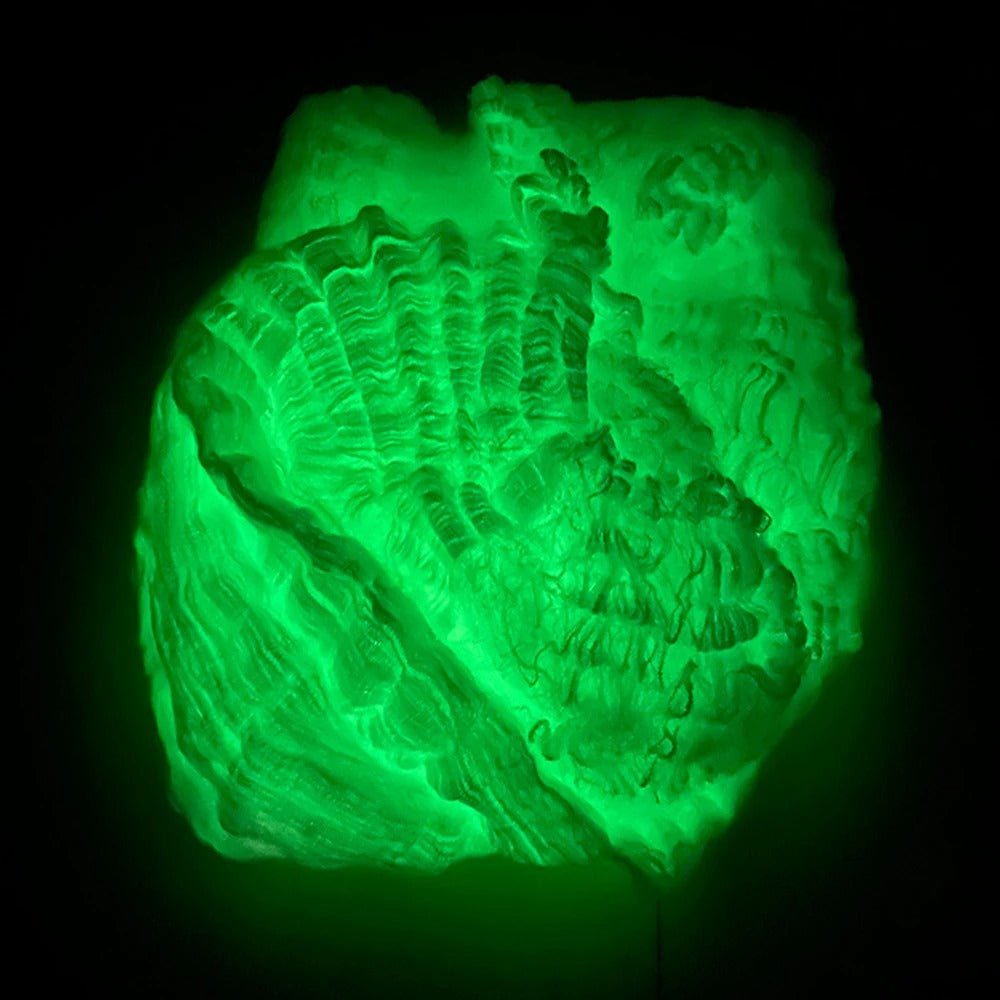 Luminous Spider Web - Glow - in - the - Dark Décor - Gear Elevation